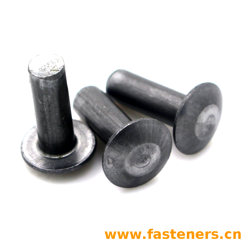 BS4620 Metric Cold Forged Universal Head Rivets - Buy BS4620, Metric ...